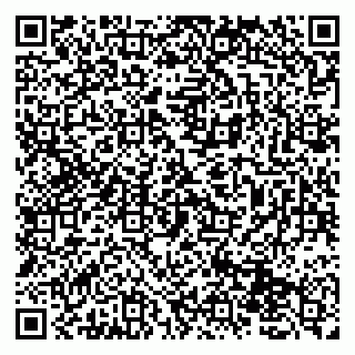 vCard 79131158207