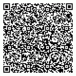 vCard 79131158294