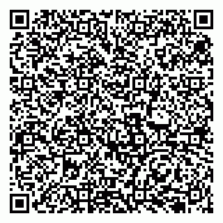 vCard 79131159629
