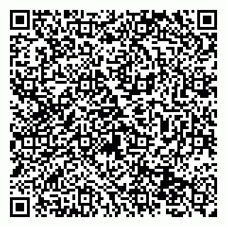 vCard 79131160020