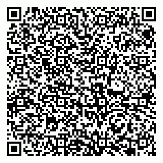 vCard 79131160294
