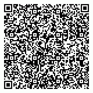 vCard 79131160331