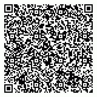 vCard 79131160689