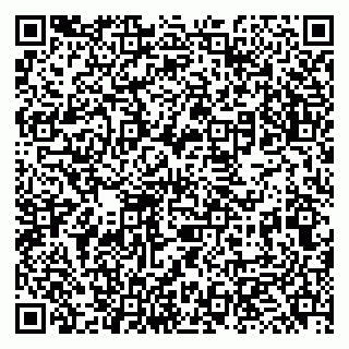 vCard 79131161007