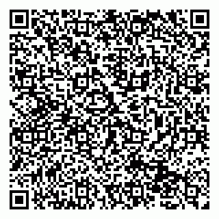 vCard 79131161069