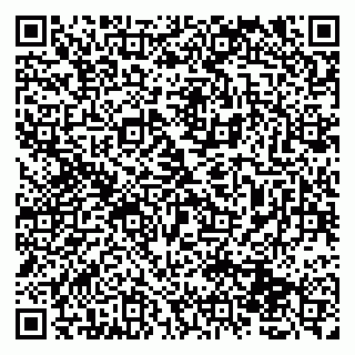 vCard 79131161373