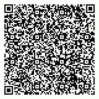 vCard 79131162001