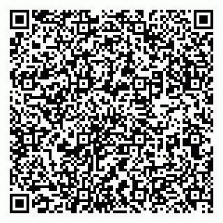 vCard 79131162002