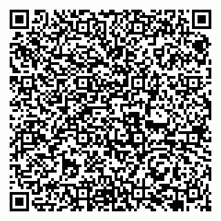 vCard 79131162003