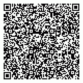 vCard 79131163045