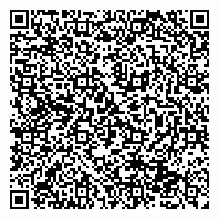vCard 79131163167