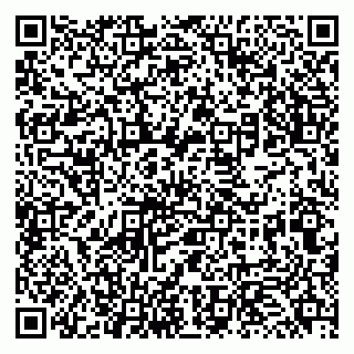vCard 79131163243