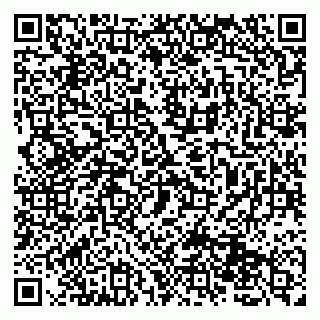 vCard 79131163247