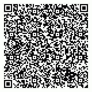 vCard 79131163389