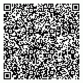 vCard 79131164294