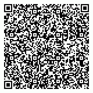 vCard 79131165294