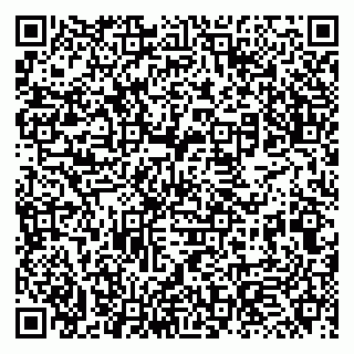 vCard 79131165321