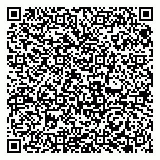 vCard 79131165327