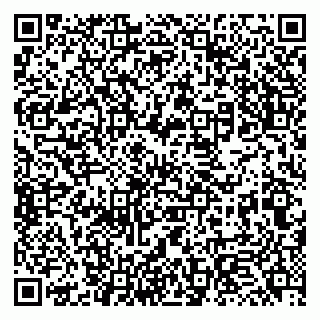 vCard 79131165331