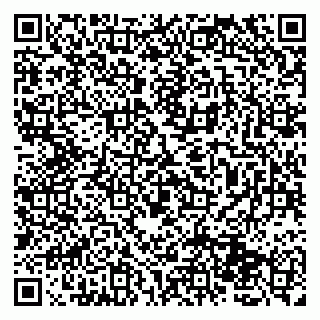 vCard 79131165335