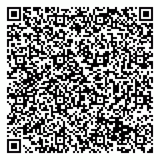 vCard 79131165381