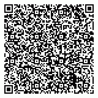 vCard 79131167321