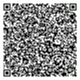 vCard 79131167331