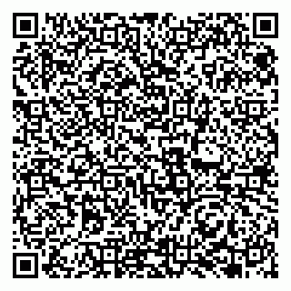 vCard 79131167390