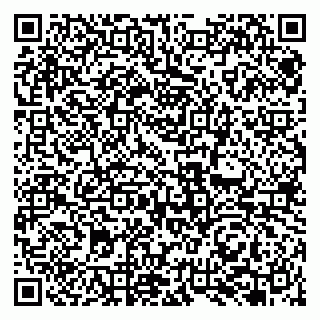vCard 79131167904