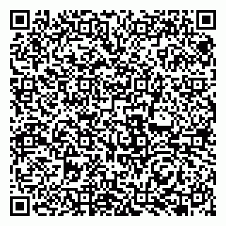 vCard 79131168294