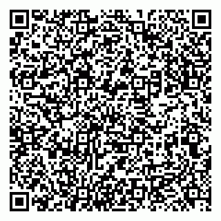 vCard 79131168411
