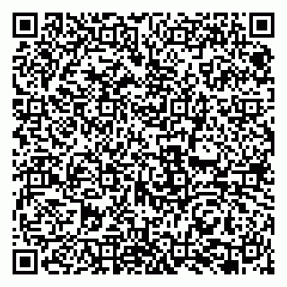 vCard 79131168413