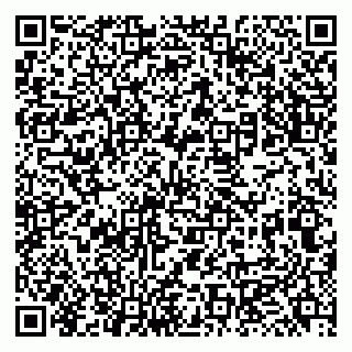 vCard 79131168419
