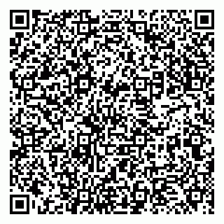 vCard 79131170221