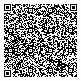 vCard 79131170315