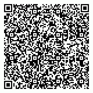 vCard 79131170373