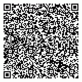 vCard 79131170805