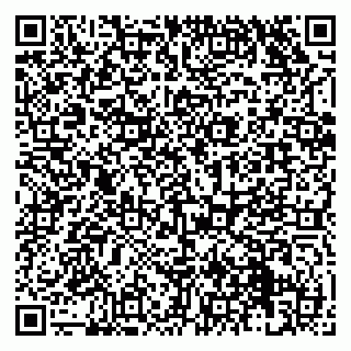 vCard 79131171314