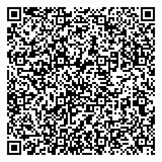 vCard 79131172002