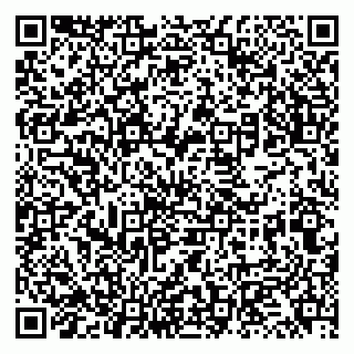vCard 79131172003