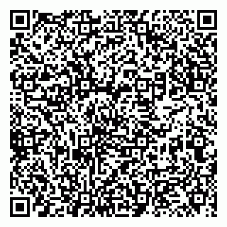 vCard 79131172004