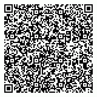 vCard 79131172012