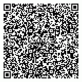 vCard 79131173005