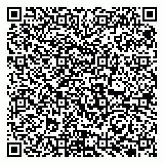 vCard 79131173271