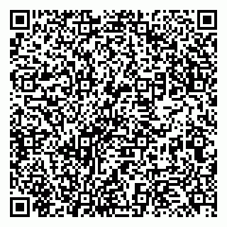 vCard 79131173294