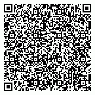 vCard 79131173347