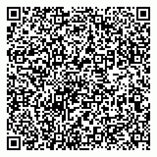 vCard 79131173408