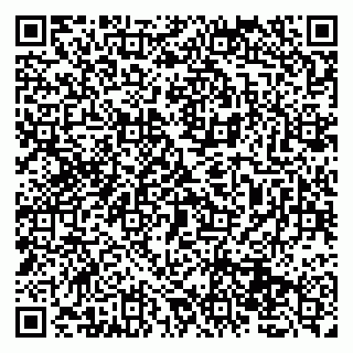 vCard 79131173687