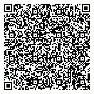 vCard 79131173751