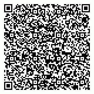 vCard 79131173888